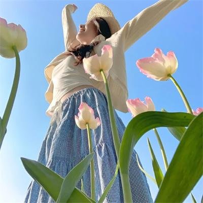 大秦赋